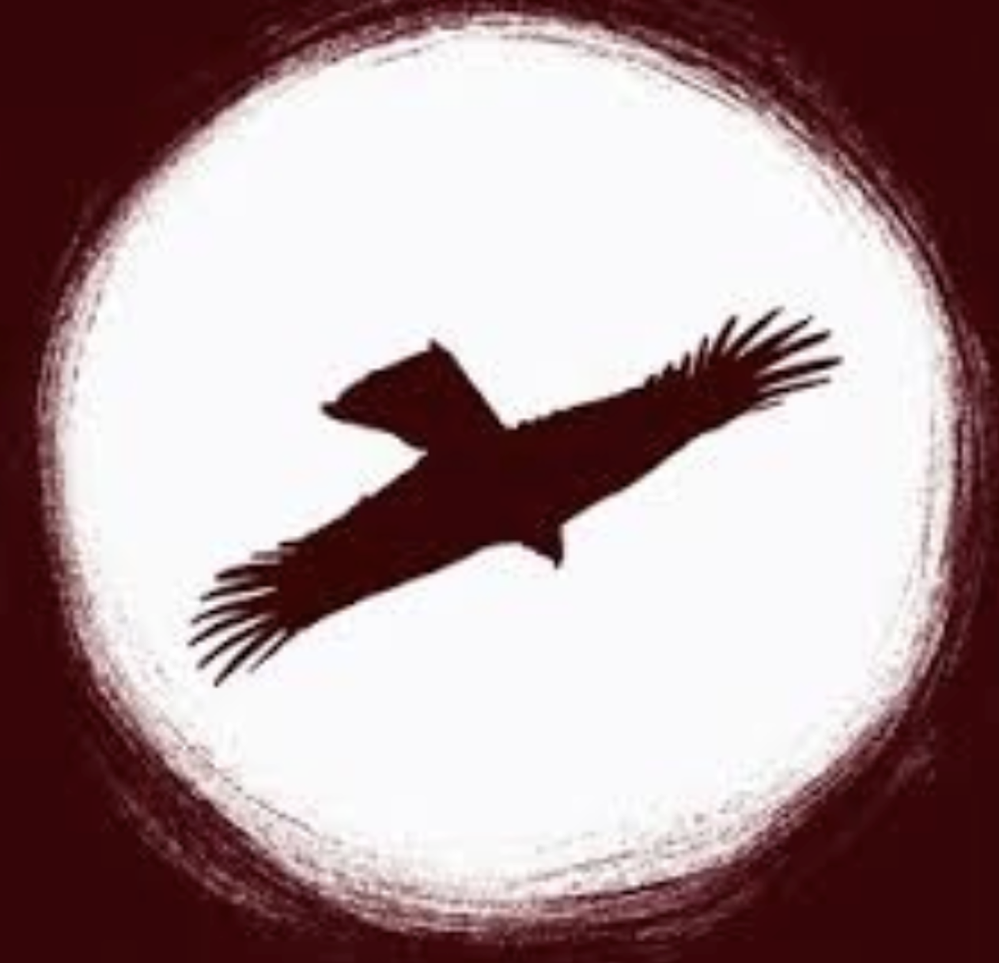 Imagen de referencia de El Cóndor Ciego